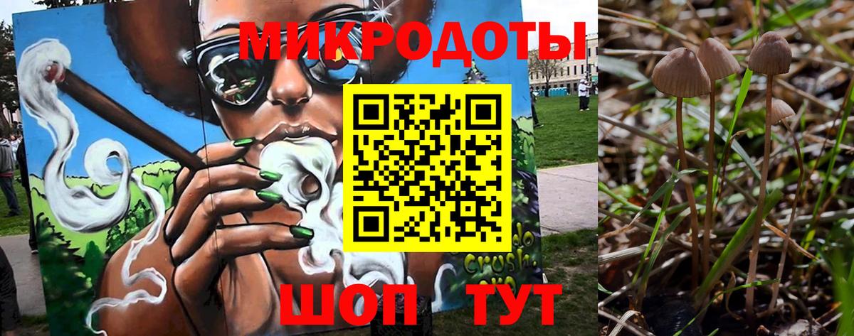 Галлюциногенные грибы Psilocybine cubensis Нижний Новгород